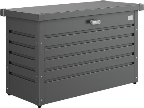 BIOHORT Freizeitbox 100, 101x46x61 cm, dunkelgrau-metallic
