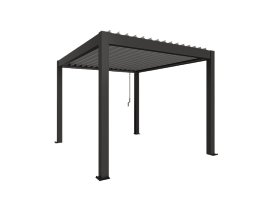 BIOHORT Pergola Dunkelgrau/Silber-Metallic