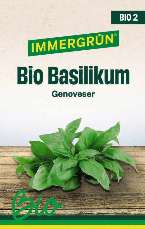 IMMERGRÜN Tütensamen BIO Basilikum Genoveser