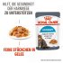 Bild vergrößern