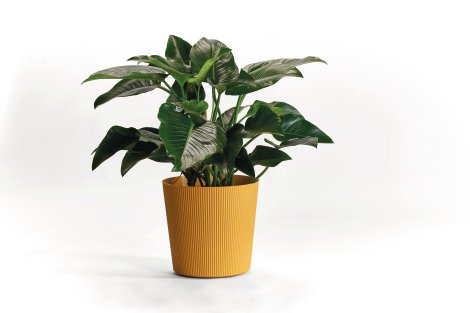 Übertopf Fyre mit Rollen Mango ⌀ 40 cm