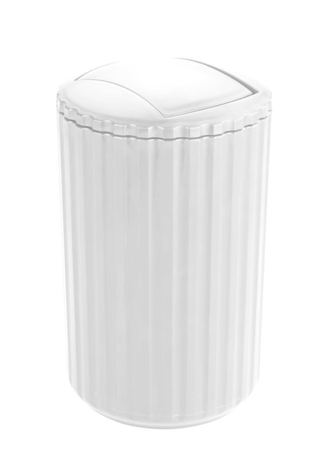 ALLSTAR Schwingdeckeleimer Minas 3 l Weiß