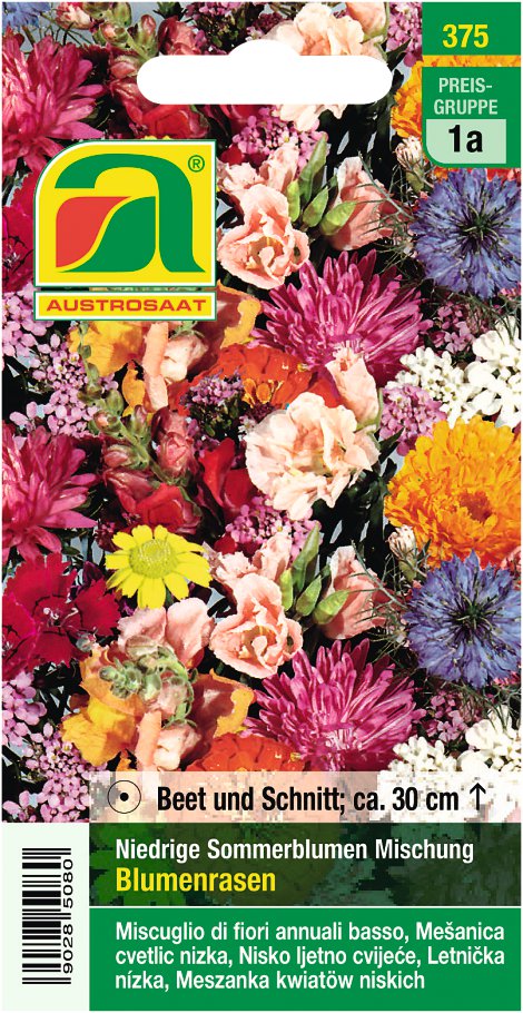 Blumenrasen Sommerblumen