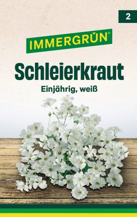 IMMERGRÜN Tütensamen Schleierkraut