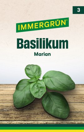 IMMERGRÜN Tütensamen Basilikum Marian