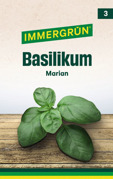 IMMERGRÜN Tütensamen Basilikum Marian