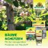 Bild vergrößern