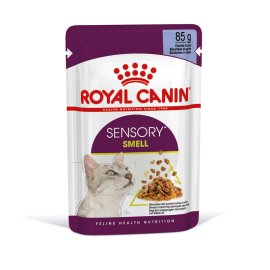 ROYAL CANIN Katzennassfutter Sensory Smell Jelly Adult 85 g