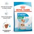 ROYAL CANIN Hundetrockenfutter Mini Starter 4 kg