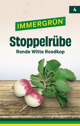 IMMERGRÜN Tütensamen Stoppelrübe Ronde Witte Roodkop
