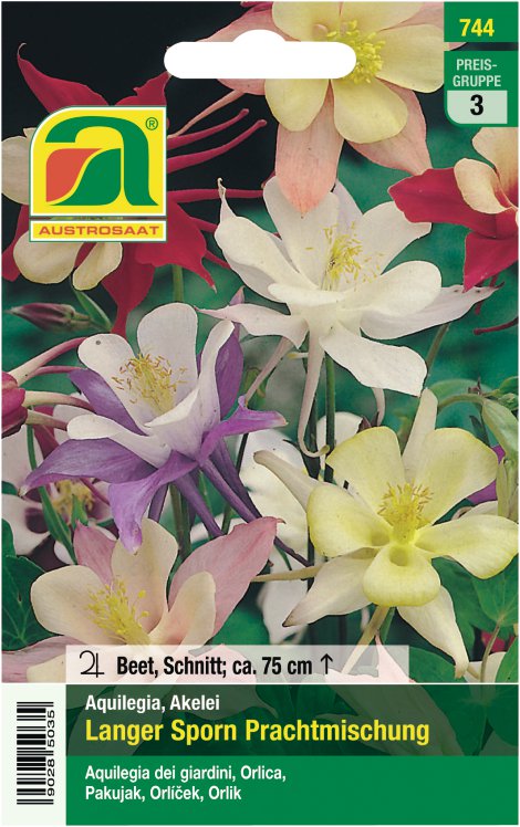 Aquilegia Akelei Mischung