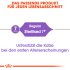 Bild vergrößern