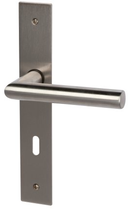 ALPERTEC Türbeschlag Piatto-LS Edelstahl satiniert lackiert BB