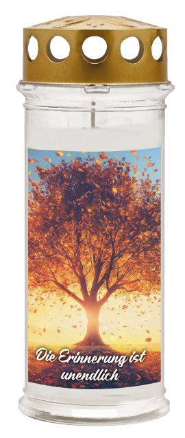 AMBROSIUS Grablicht 7 Tage Motivkerze Baum "Die Erinnerung ist unendlich"
