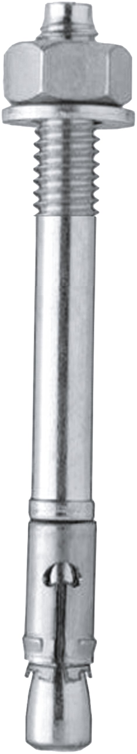 H+S Schlaganker Niro M 10 x 100, 1 Stk.