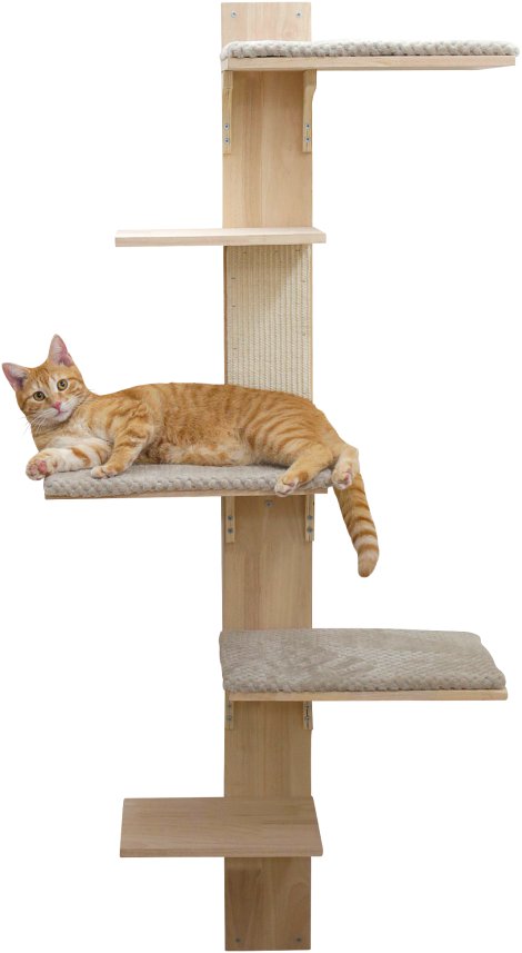Wandkratzbaum Timber für Katzen, natur/grau