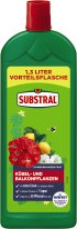 Bild vergrößern