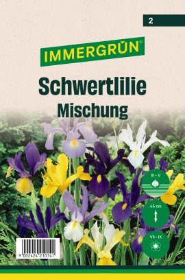 IMMERGRÜN Blumenzwiebel Schwertlilie Mischung