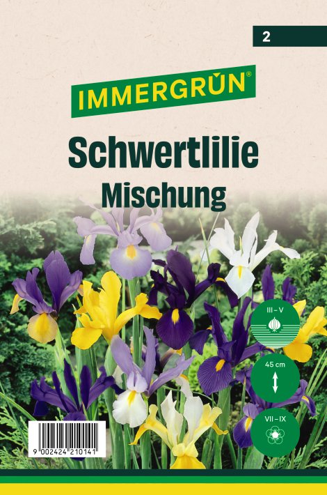 IMMERGRÜN Blumenzwiebel Frühjahr Lil Croc Mix