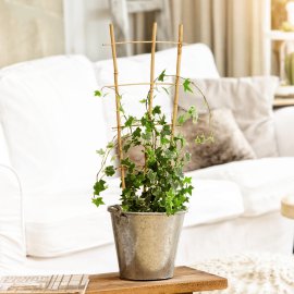 WINDHAGER Blumenstütze Bambus 45x20 cm