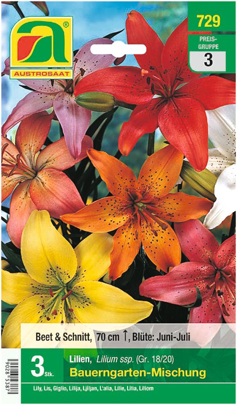 Lilien Bauerngarten Mischung