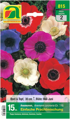 Anemonen Mischung