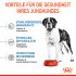 ROYAL CANIN Hundetrockenfutter Giant Junior 15 kg