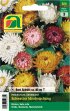 Bild vergrößern