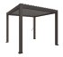 BIOHORT Pergola Dunkelgrau/Silber-Metallic 3x3 m