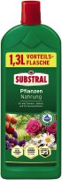 Bild vergrößern