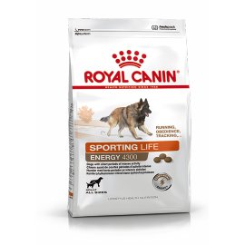 ROYAL CANIN Hundetrockenfutter Sporting Life Trail 4300 Adult, 15 kg