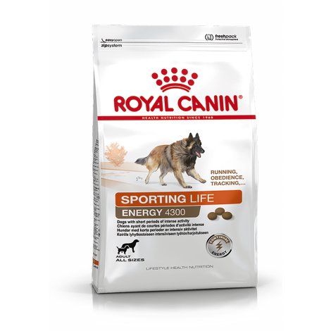 ROYAL CANIN Hundetrockenfutter Sporting Life Trail 4300, 15 kg