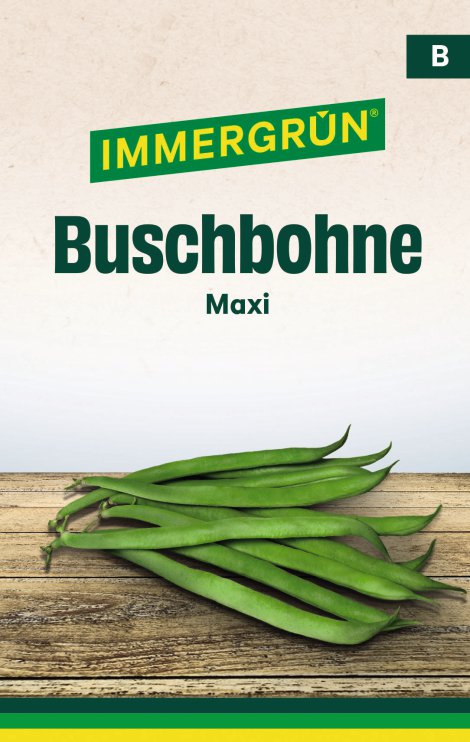 IMMERGRÜN Tütensamen Buschbohne Maxi