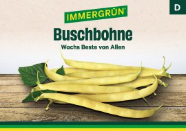 IMMERGRÜN Tütensamen Buschbohne Wachs Beste von Allen