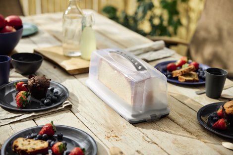 ROTHO Kuchenbehälter Fresh Black