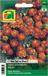 Bild vergrößern