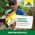 Bild vergrößern