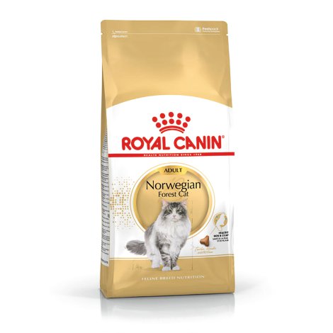 ROYAL CANIN Katzentrockenfutter Norwegian 0,4 kg