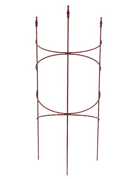 Staudenstütze Rost 50x120 cm (ØxH)