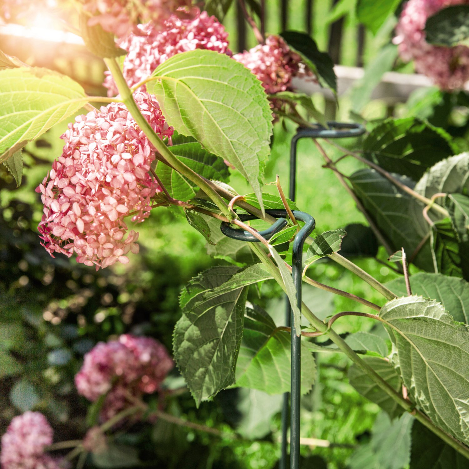 WINDHAGER Blumen- und Blütenstütze Ø7, metallic-grün