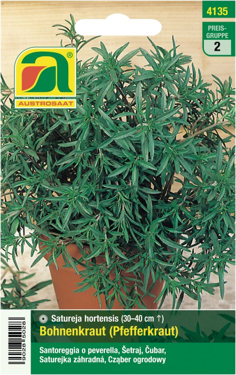 Bohnen od. Pfefferkraut