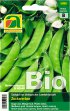 Bild vergrößern