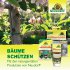 Bild vergrößern