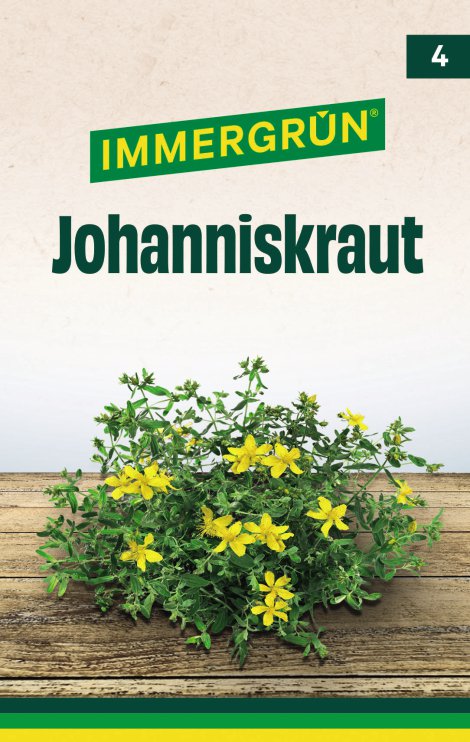 IMMERGRÜN Tütensamen Johanniskraut Hypericum
