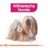 Bild vergrößern