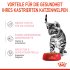 Bild vergrößern