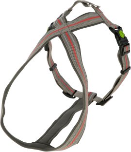 Geschirr Xenos, grau/rot