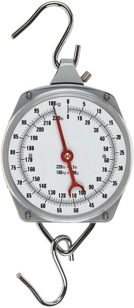 Zeigerschnellwaage 100 kg