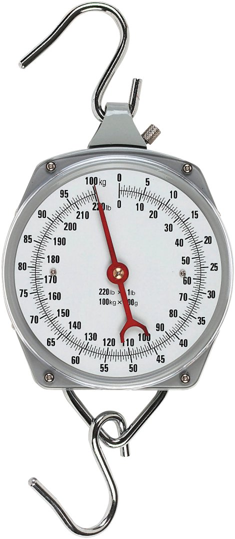 Zeigerschnellwaage 100 kg