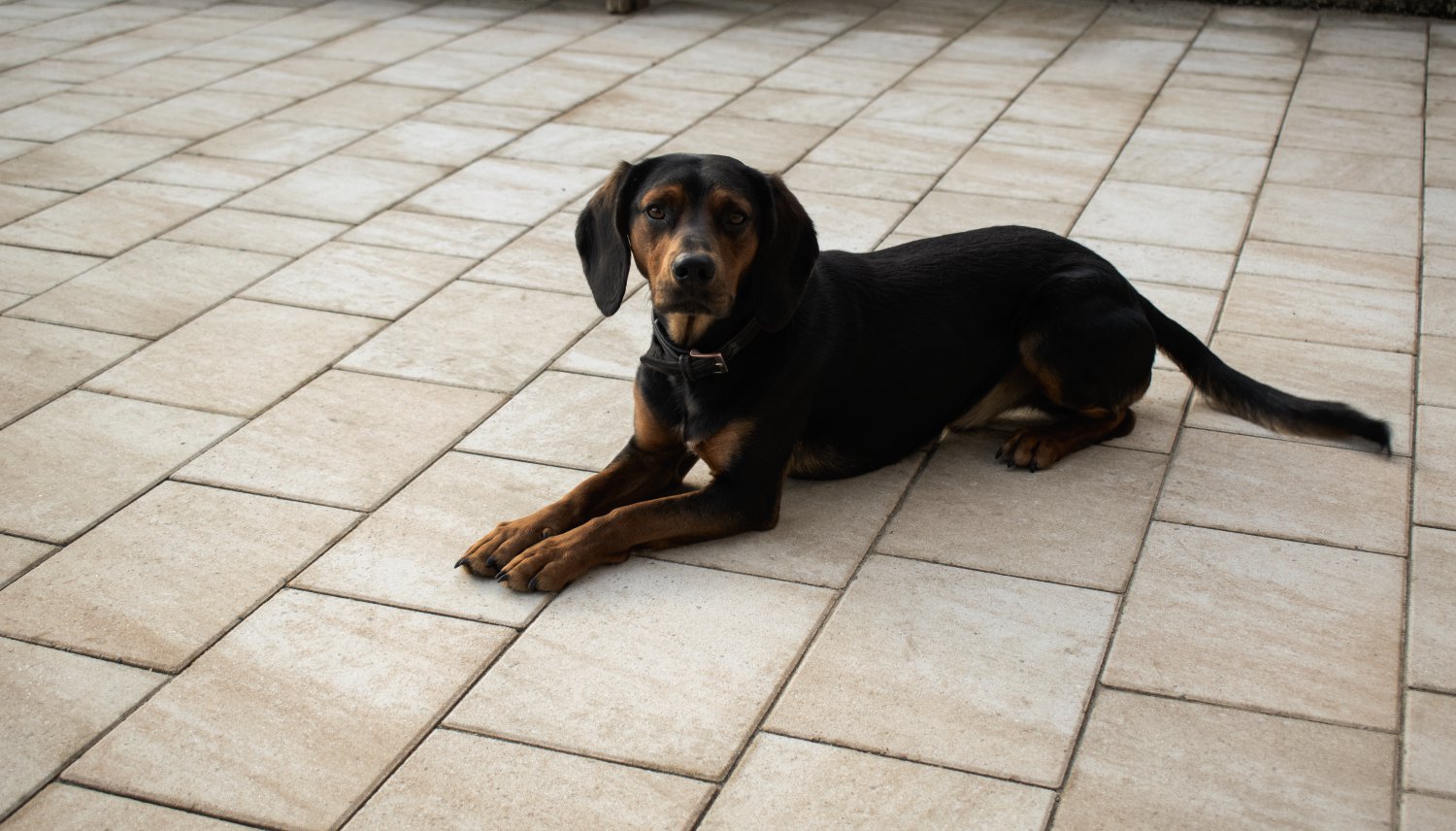 EBENSEER Kombiformatpflaster Modern Moments Sandbeige meliert